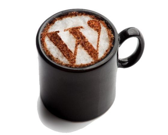 Blog-Kontor Starter